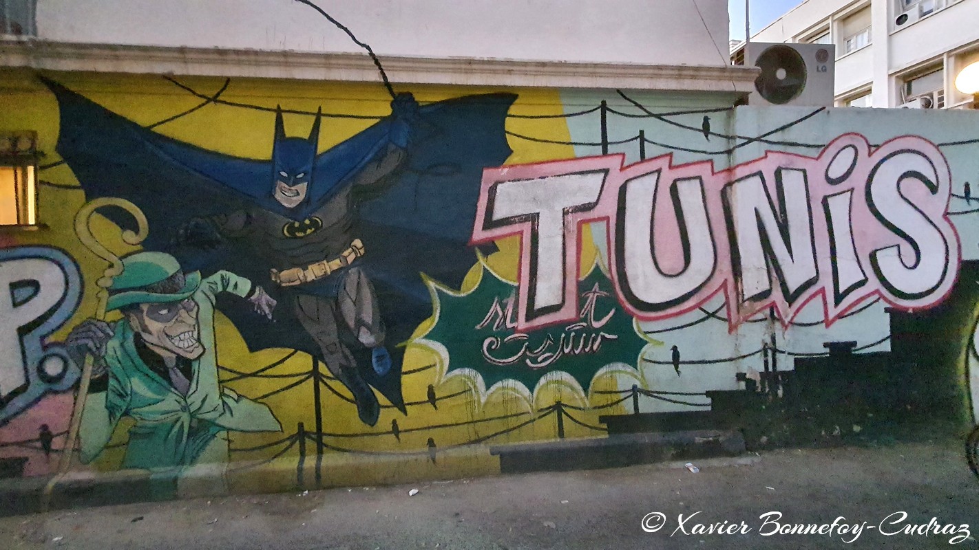 Tunis - Street Art
Mots-clés: geo:lat=36.80455014 geo:lon=10.18208786 geotagged Medina TUN Tunisie Tunis Graffiti