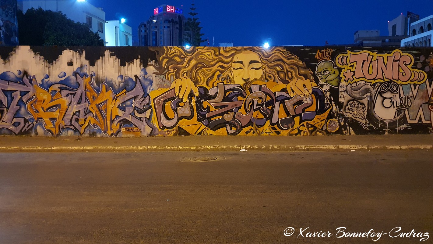 Tunis - Street Art
Mots-clés: geo:lat=36.80429438 geo:lon=10.18228132 geotagged Medina TUN Tunisie Tunis Graffiti