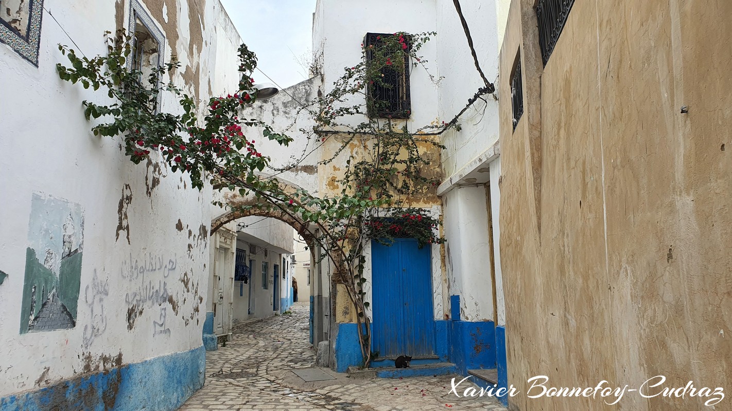 Bizerte - La Medina
Mots-clés: Banzart geo:lat=37.27902571 geo:lon=9.87516537 geotagged La Kasbah TUN Tunisie Bizerte Medina