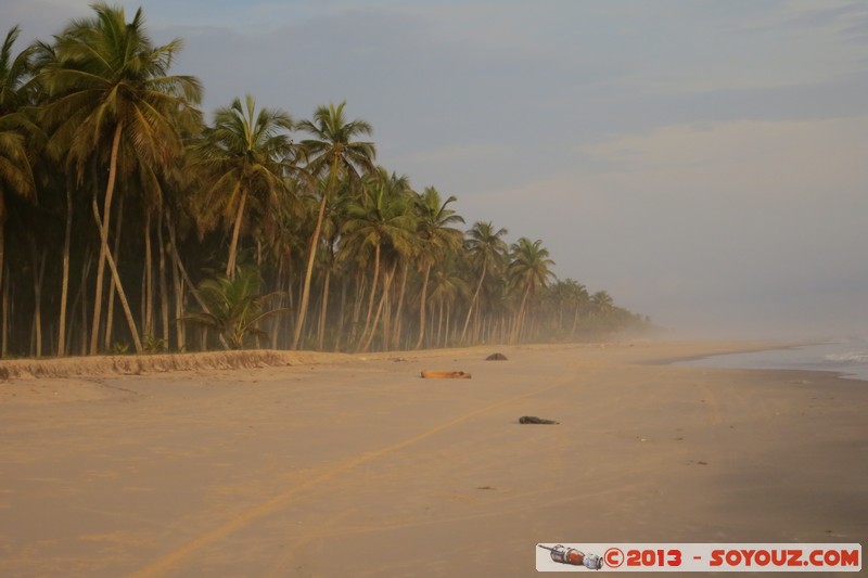 Assinie
Mots-clés: CIV CÃ´te d&#039;Ivoire Sud-Como plage mer Palmier