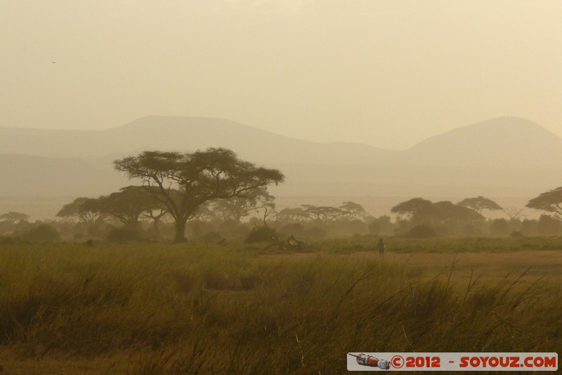 Amboseli National Park - Sunset
Mots-clés: Amboseli geo:lat=-2.70026472 geo:lon=37.30296996 geotagged KEN Kenya Rift Valley Amboseli National Park sunset Arbres
