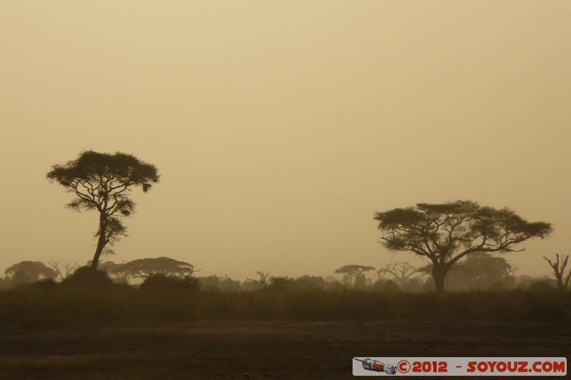 Amboseli National Park - Sunset
Mots-clés: Amboseli geo:lat=-2.70153517 geo:lon=37.30724612 geotagged KEN Kenya Rift Valley Amboseli National Park sunset Arbres