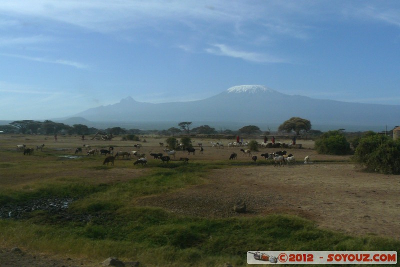 Amboseli - Kilimandjaro
Mots-clés: Amboseli geo:lat=-2.72390685 geo:lon=37.38779468 geotagged KEN Kenya Rift Valley Kilimandjaro volcan Arbres