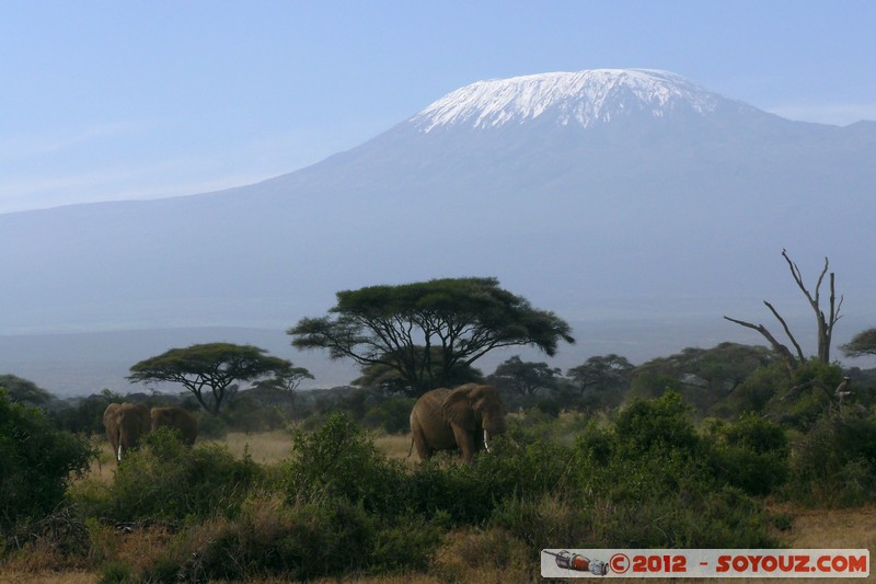 Amboseli National Park - Kilimandjaro
Mots-clés: Amboseli geo:lat=-2.71687963 geo:lon=37.37415531 geotagged KEN Kenya Rift Valley Arbres Kilimandjaro volcan