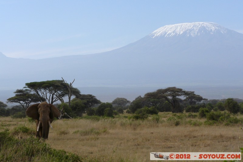 Amboseli National Park - Kilimandjaro and Elephant
Mots-clés: Amboseli geo:lat=-2.71669461 geo:lon=37.37366811 geotagged KEN Kenya Rift Valley animals Elephant Kilimandjaro volcan