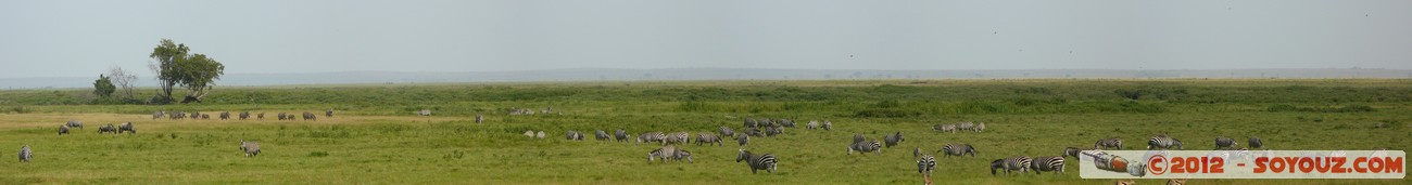 Amboseli National Park - Zebra and Thomson's gazelle - Panorama
Mots-clés: Amboseli geo:lat=-2.70689723 geo:lon=37.31804293 geotagged KEN Kenya Rift Valley Thomson's gazelle animals zebre panorama