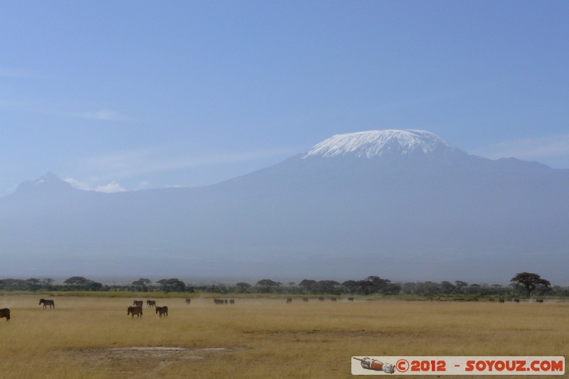 Amboseli National Park - Kilimandjaro and Zebra
Mots-clés: Amboseli geo:lat=-2.69343766 geo:lon=37.29174628 geotagged KEN Kenya Rift Valley Arbres volcan Kilimandjaro animals zebre