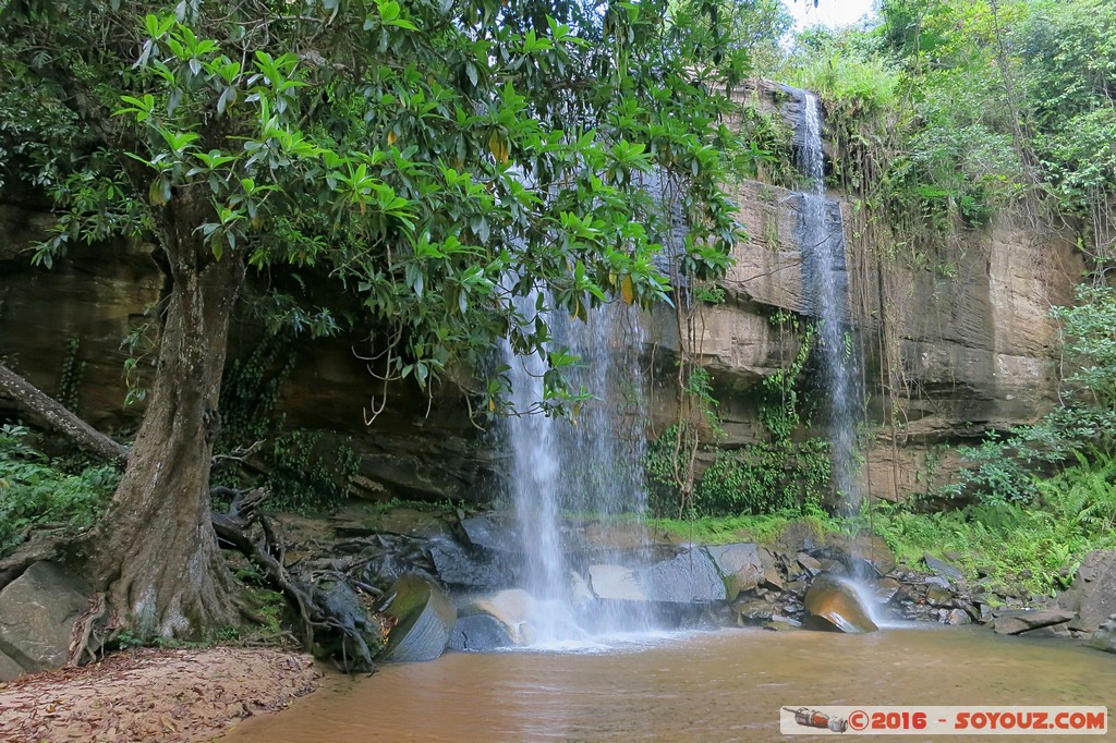 Shimba Hills National Reserve - Sheldrick Falls
Mots-clés: KEN Kenya Kwale Mkingani Shimba Hills National Reserve Sheldrick Falls cascade