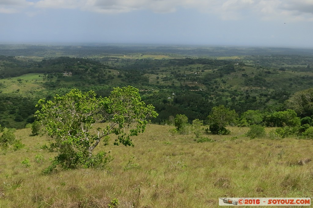 Shimba Hills National Reserve
Mots-clés: KEN Kenya Kwale Msurwa Shimba Hills National Reserve