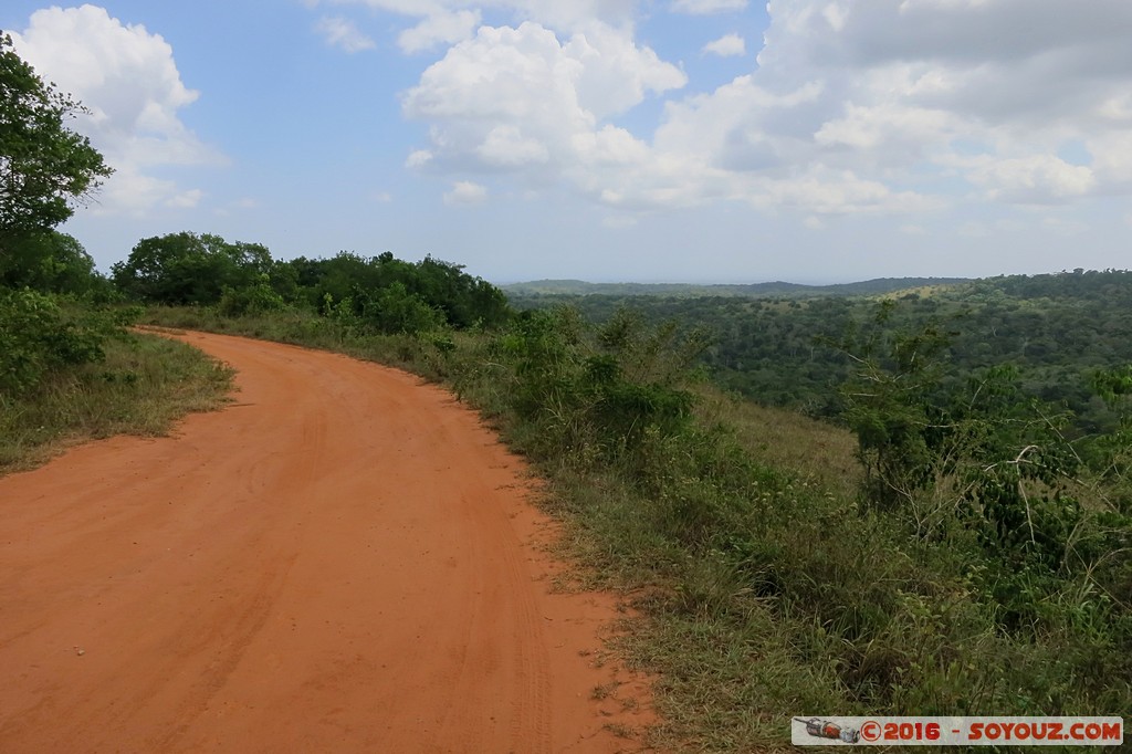Shimba Hills National Reserve
Mots-clés: KEN Kenya Kwale Marere Shimba Hills National Reserve