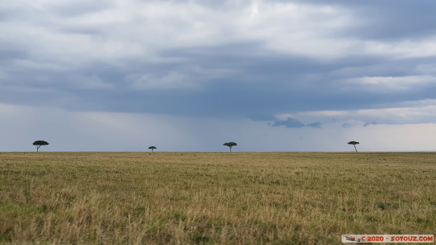 Masai Mara
Mots-clés: geo:lat=-1.52761729 geo:lon=35.29465246 geotagged Keekorok KEN Kenya Narok Masai Mara Arbres paysage