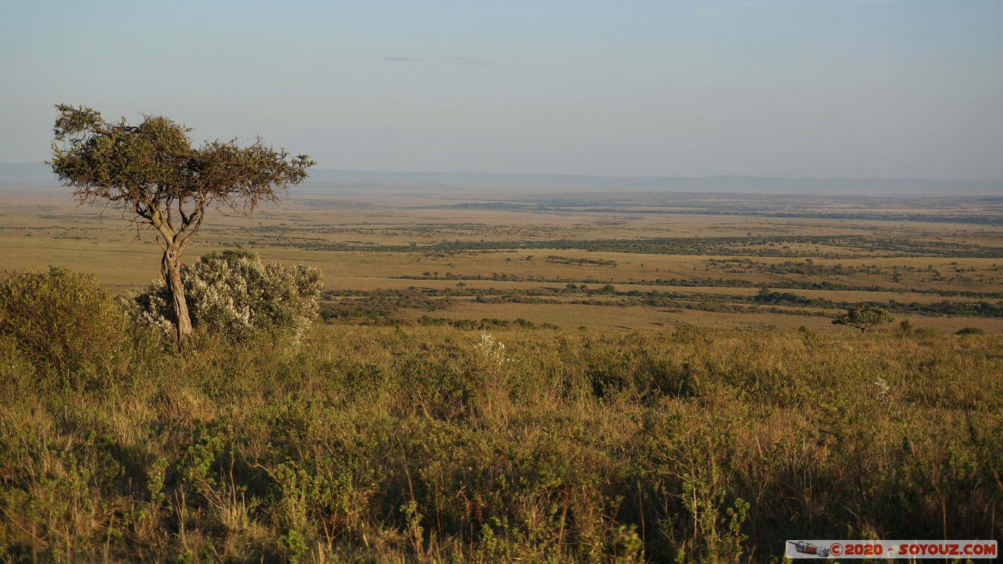 Masai Mara
Mots-clés: geo:lat=-1.53581684 geo:lon=35.30929951 Keekorok geotagged KEN Kenya Narok Masai Mara paysage