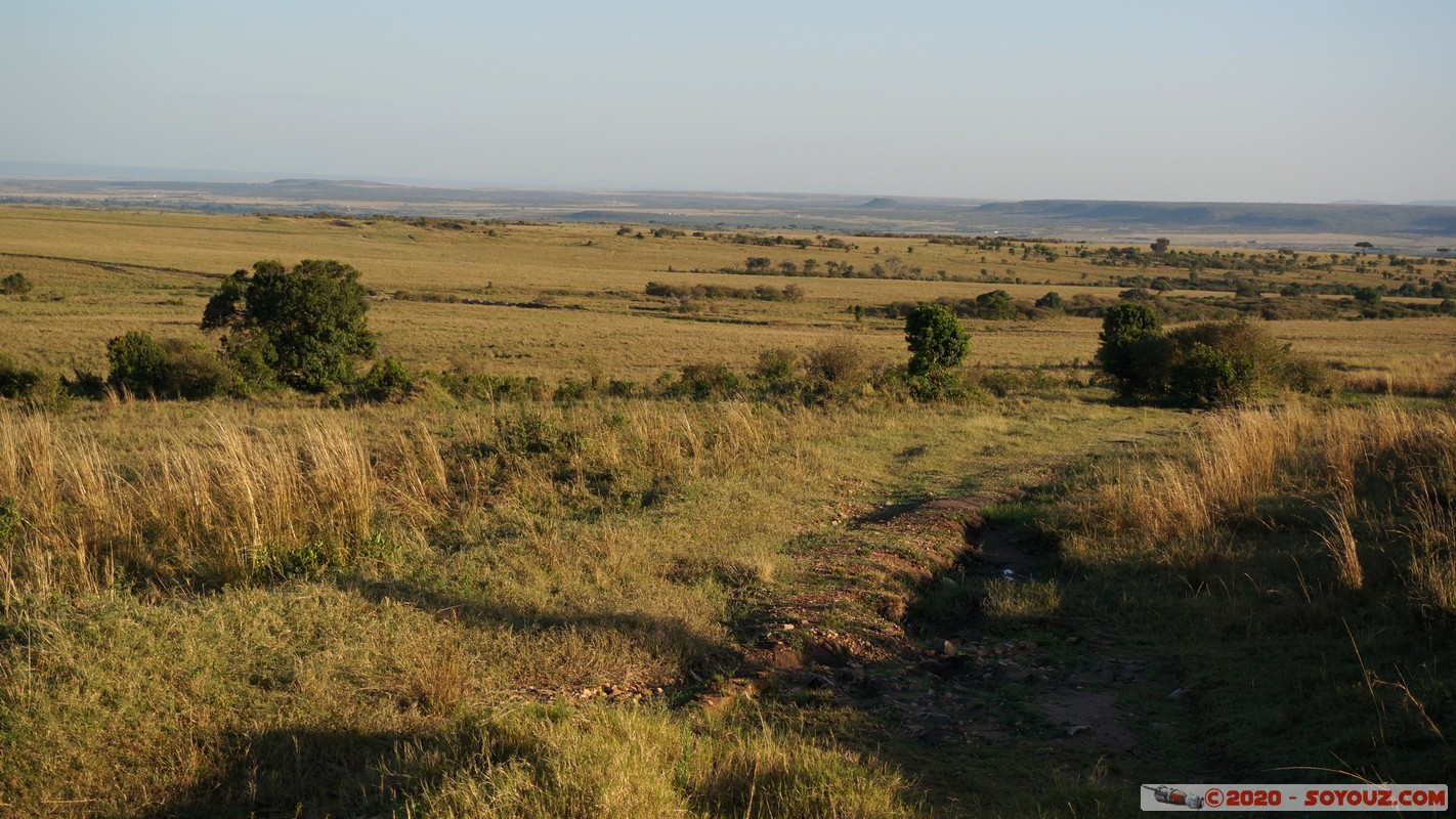 Masai Mara
Mots-clés: geo:lat=-1.53688934 geo:lon=35.29925732 geotagged Keekorok KEN Kenya Narok Masai Mara paysage Lumiere