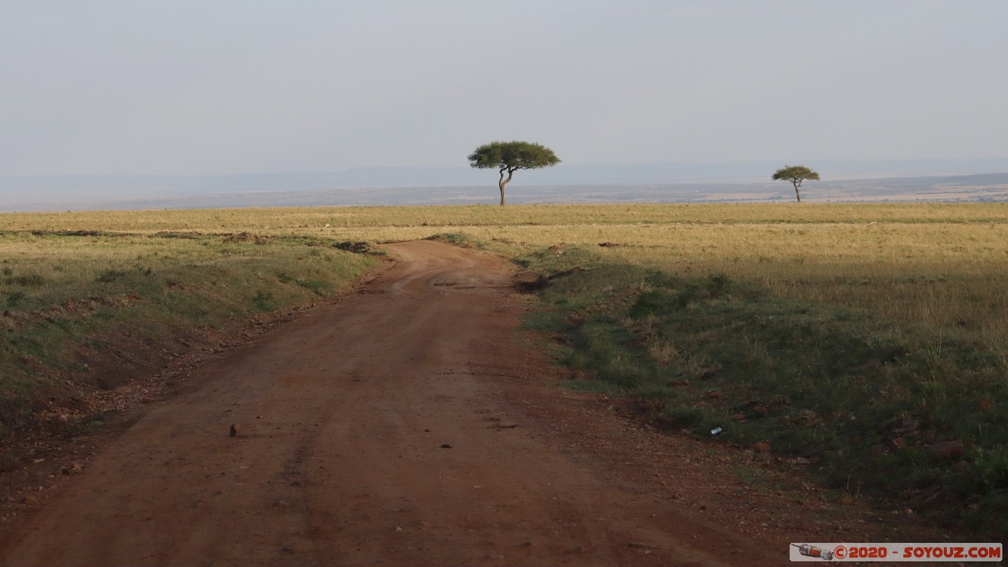 Masai Mara
Mots-clés: geo:lat=-1.57166504 geo:lon=35.14920564 geotagged Keekorok KEN Kenya Narok Masai Mara paysage Route Arbres