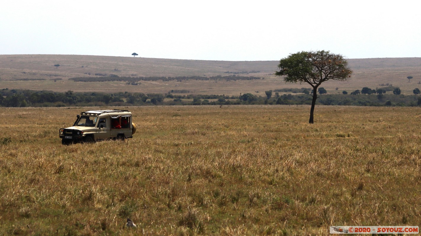 Masai Mara
Mots-clés: geo:lat=-1.51902173 geo:lon=35.03893405 geotagged KEN Kenya Narok Ol Kiombo Masai Mara voiture Arbres