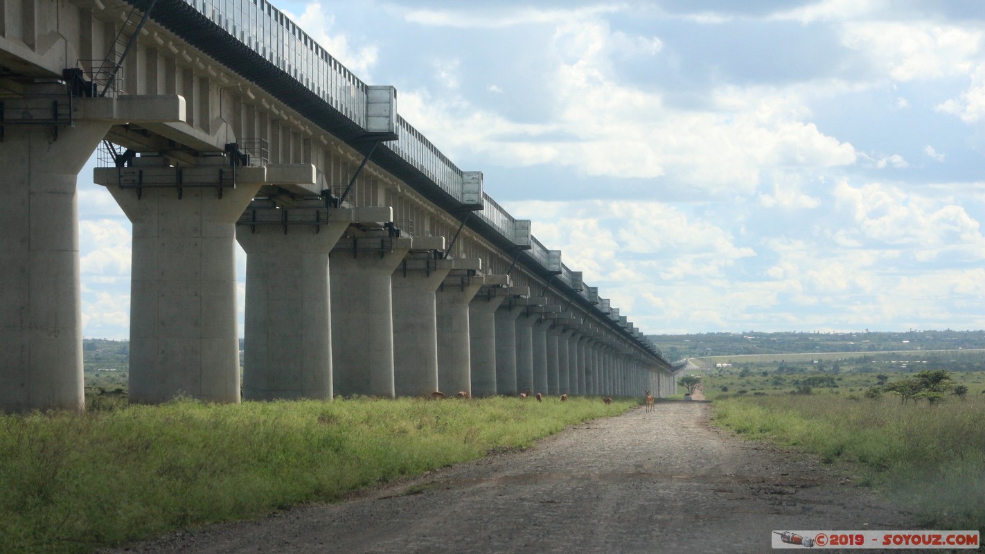 Nairobi National Park - Train's bridge
Mots-clés: KEN Kenya Nairobi Area Villa Franca Nairobi National Park