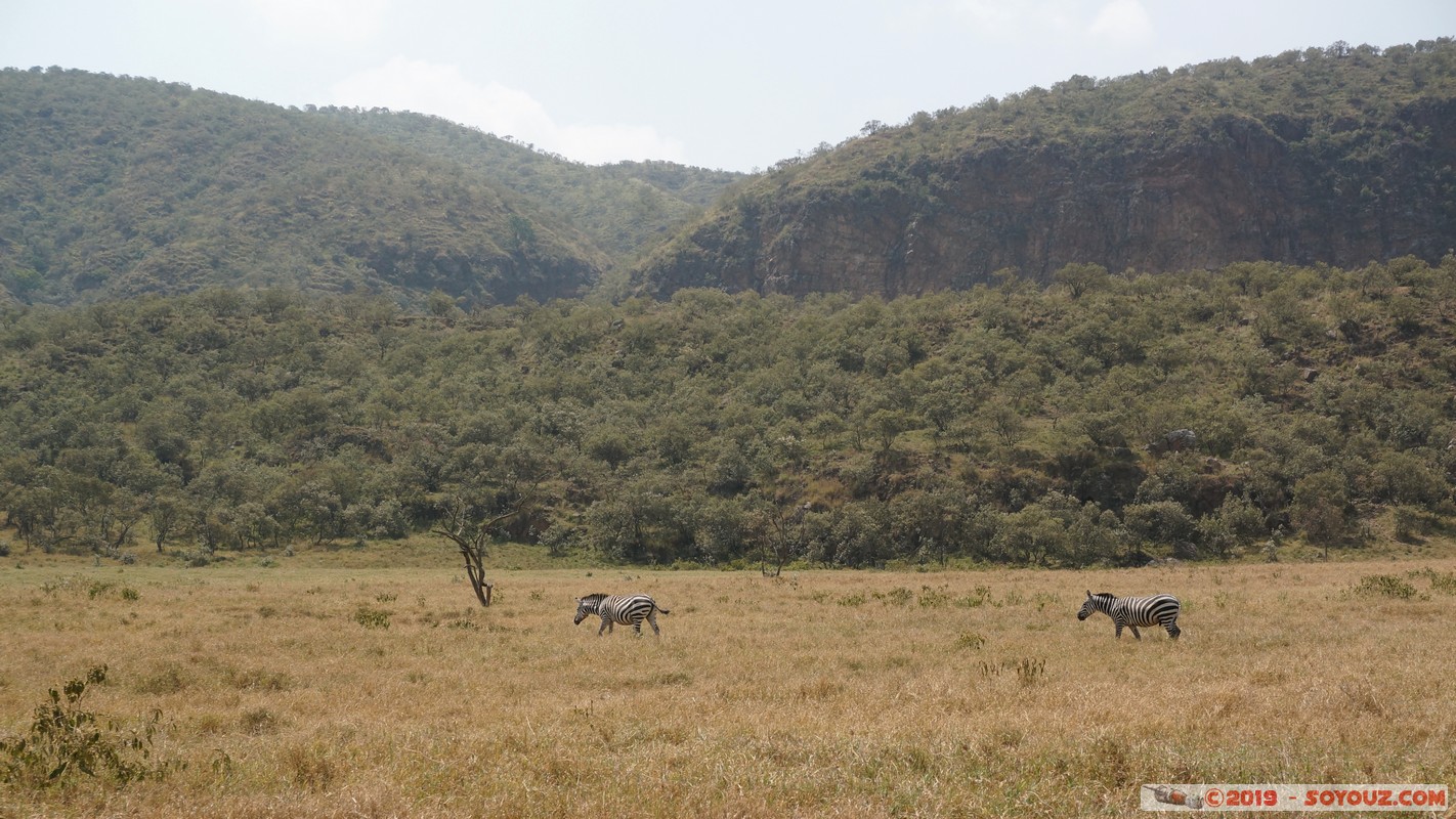 Hell's Gate - Zebra
Mots-clés: Hippo Point KEN Kenya Nakuru Hell's Gate animals zebre