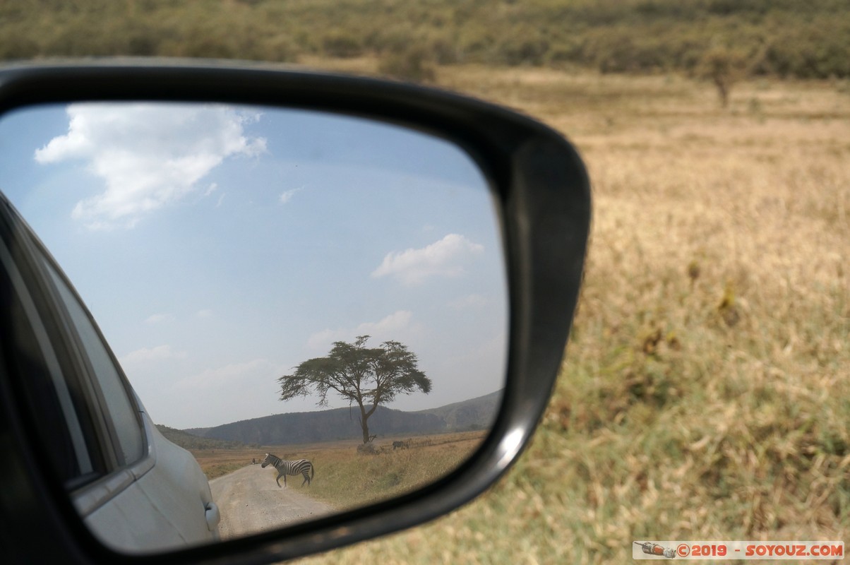 Hell's Gate - Zebra
Mots-clés: KEN Kenya Longonot Nakuru Hell's Gate animals zebre