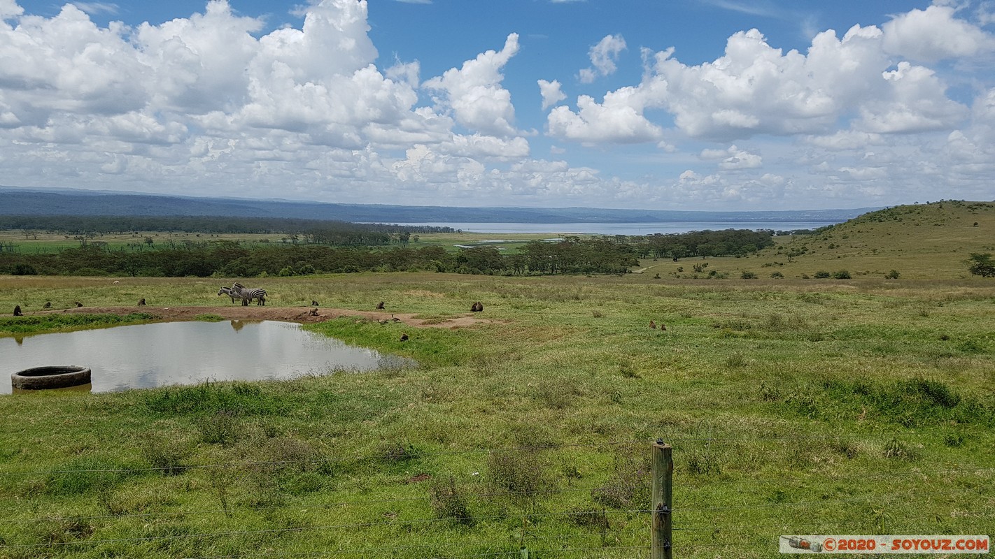 Lake Nakuru National Park
Mots-clés: KEN Kenya Nakuru Nderit Lake Nakuru National Park Lake Nakuru Lodge
