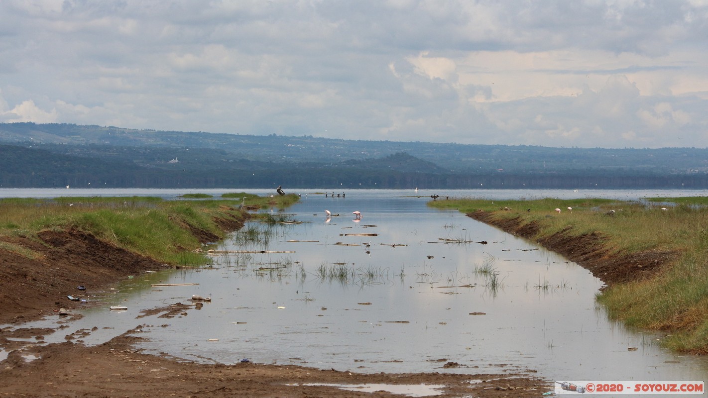 Lake Nakuru National Park
Mots-clés: KEN Kenya Nakuru Nderit Lake Nakuru National Park Lac animals oiseau