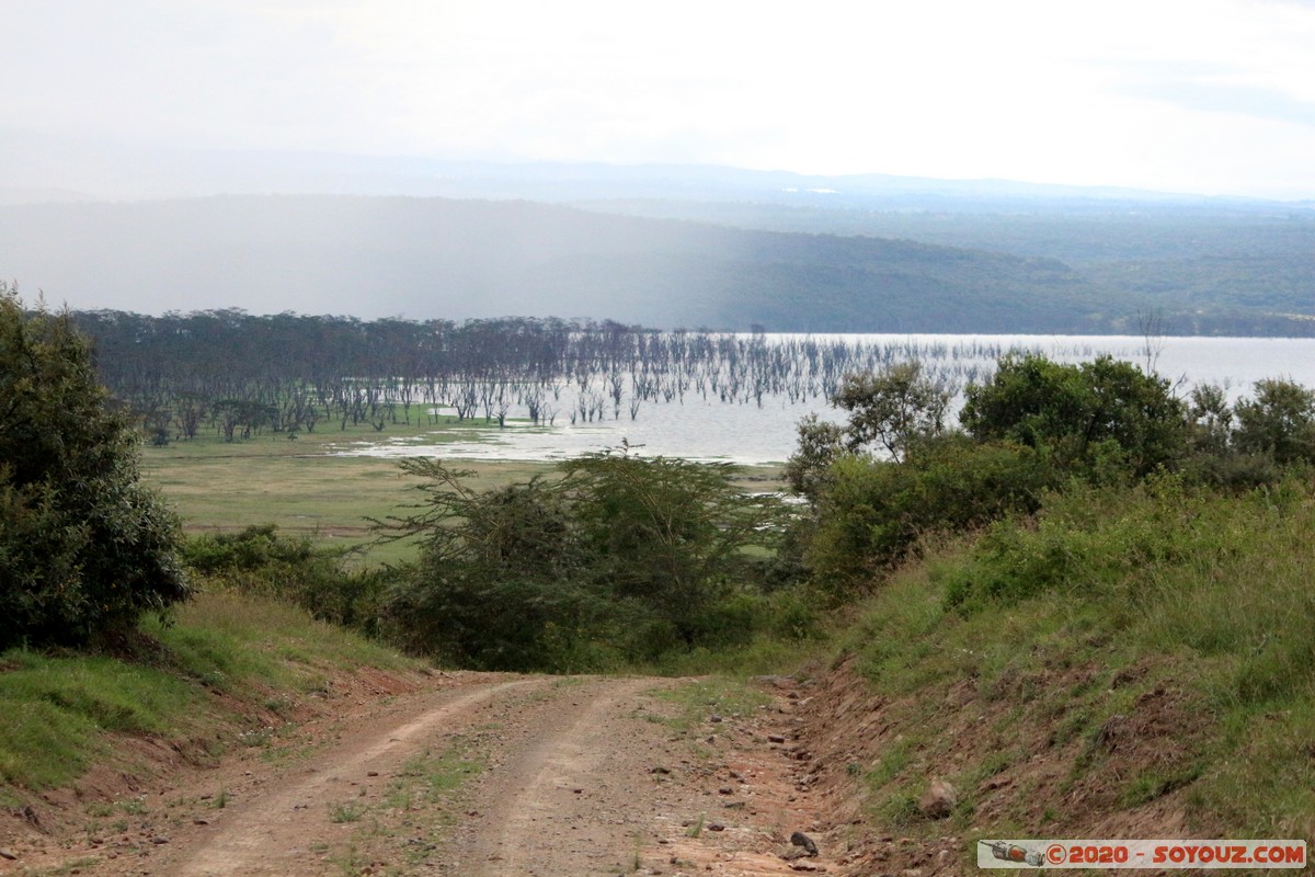 Lake Nakuru National Park
Mots-clés: KEN Kenya Nakuru Nderit Lake Nakuru National Park Lac