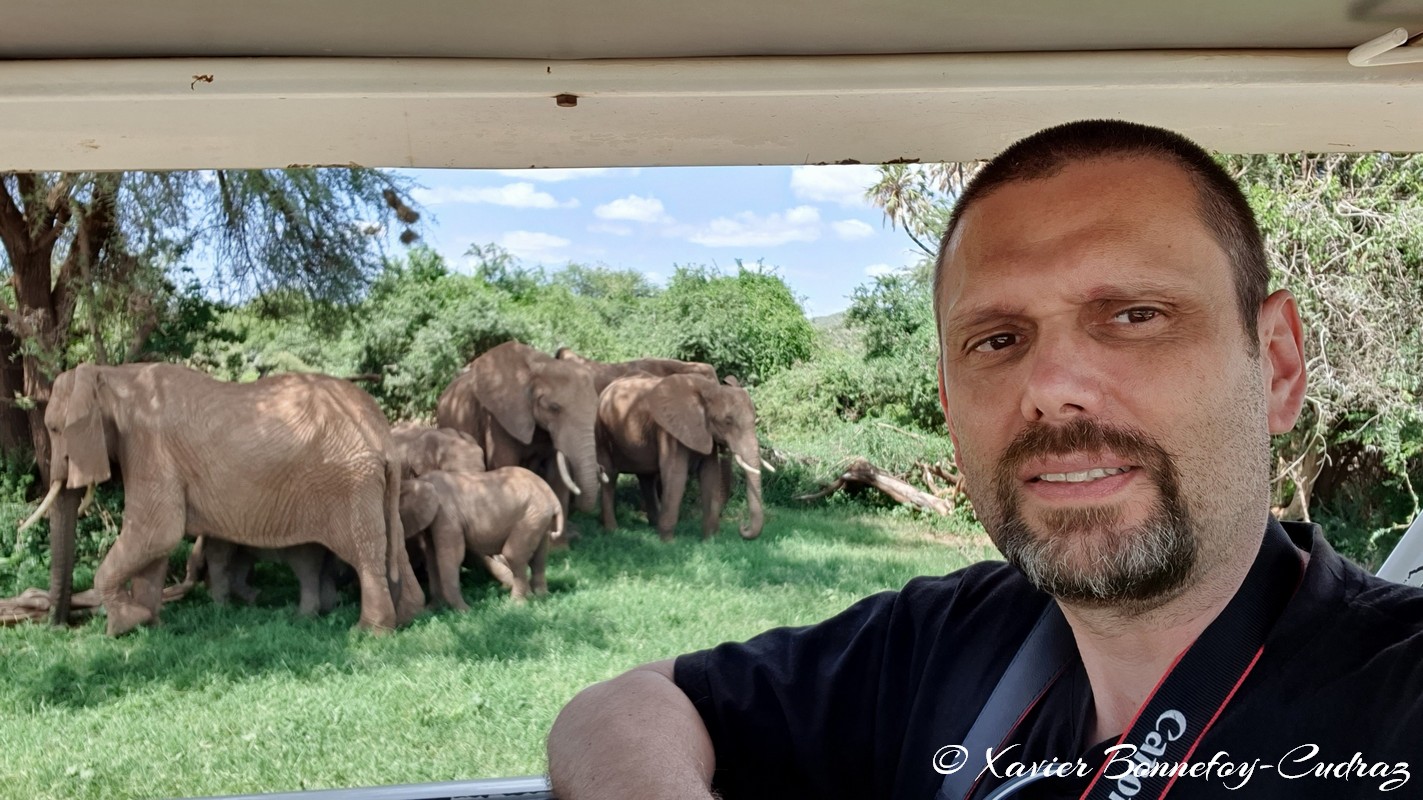 Samburu - Elephant
Mots-clés: geo:lat=0.57132526 geo:lon=37.56450106 geotagged KEN Kenya Samburu Samburu National Reserve animals Elephant