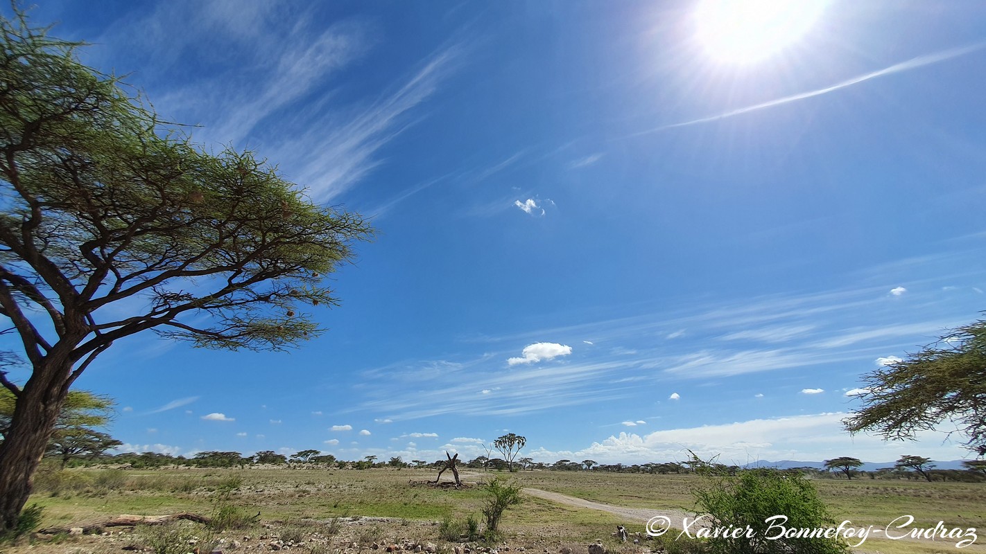 Buffalo Springs - Cirrus sky
Mots-clés: geo:lat=0.60671658 geo:lon=37.64845060 geotagged KEN Kenya Samburu Isiolo Buffalo Springs National Reserve Nuages Cirrus