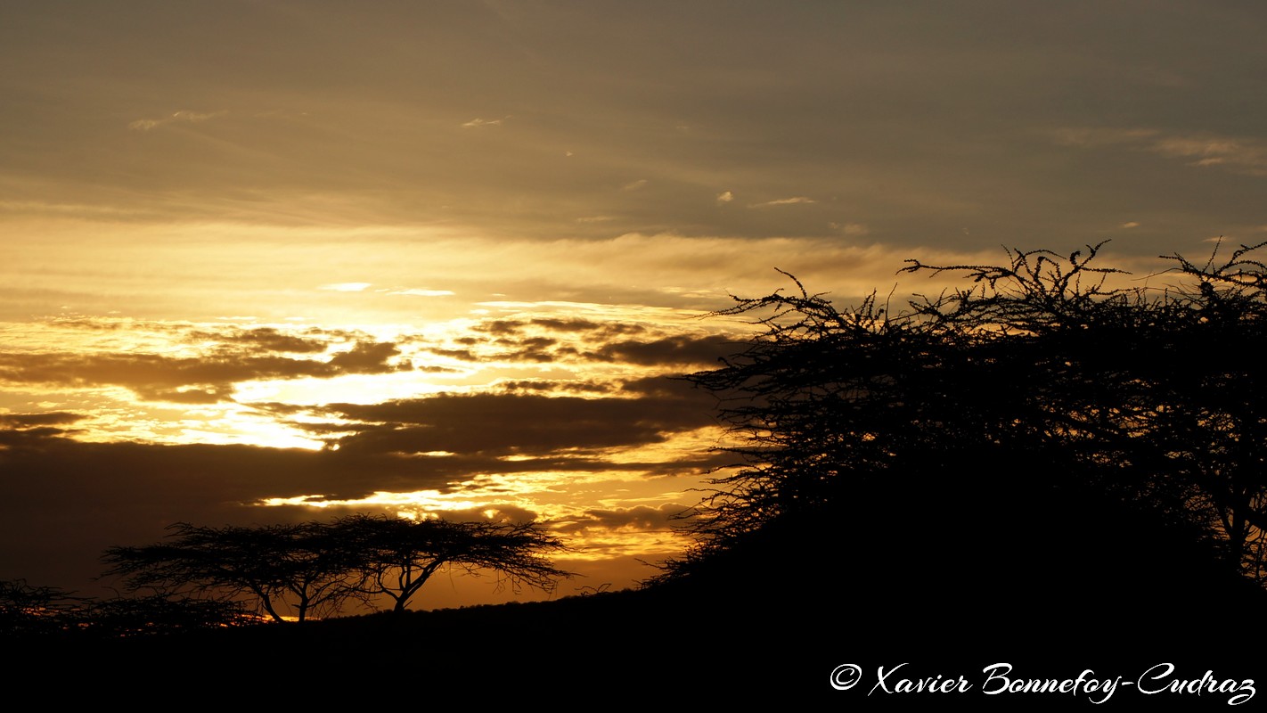 Shaba - Sunset
Mots-clés: Archers Post geo:lat=0.64699600 geo:lon=37.73481100 geotagged KEN Kenya Samburu Isiolo Shaba National Reserve sunset
