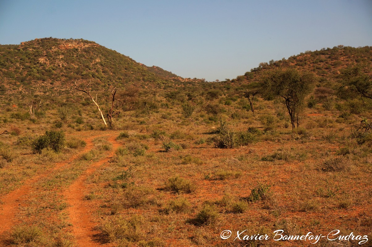 Samburu
Mots-clés: geo:lat=0.60151200 geo:lon=37.59778800 geotagged KEN Kenya Samburu Umoja Samburu National Reserve Route
