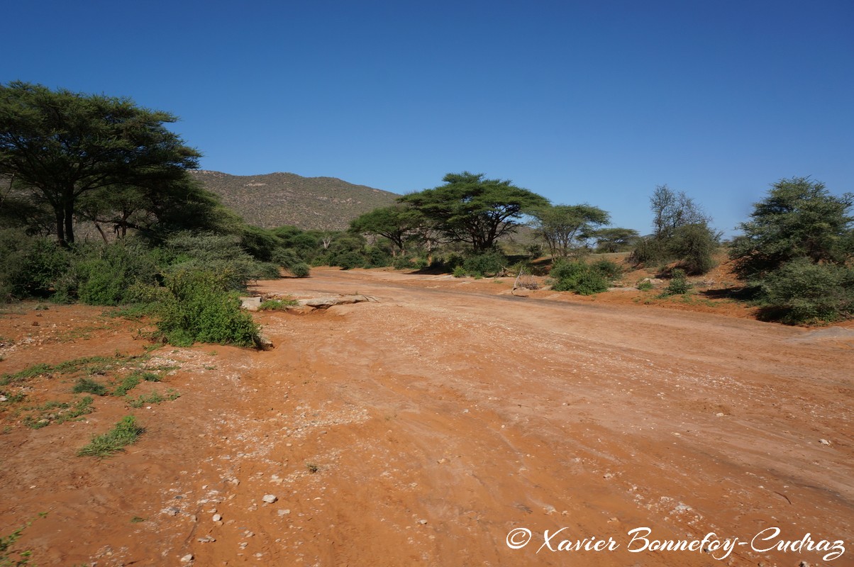 Samburu - Steam bed
Mots-clés: geo:lat=0.60107900 geo:lon=37.57680100 geotagged KEN Kenya Samburu Umoja Samburu National Reserve