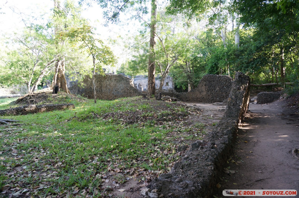 Watamu - Gede Ruins
Mots-clés: Gedi geo:lat=-3.30977299 geo:lon=40.01713187 geotagged KEN Kenya Kilifi Gede Ruins Ruines Watamu