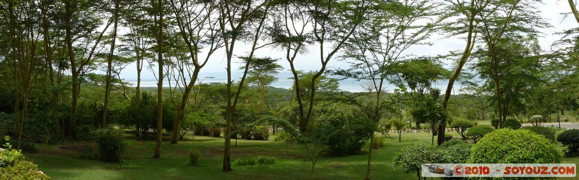 Lake Nakuru National Park - view from Sarova Lion Hill Game Lodge
Mots-clés: panorama Arbres