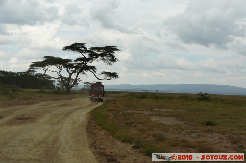 Lake Nakuru National Park
Mots-clés: voiture