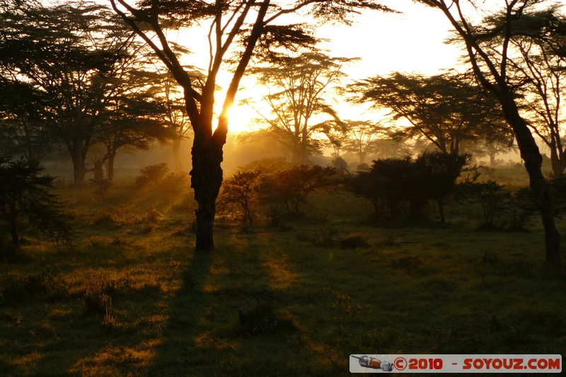 Lake Nakuru National Park - Sunrise
Mots-clés: sunset