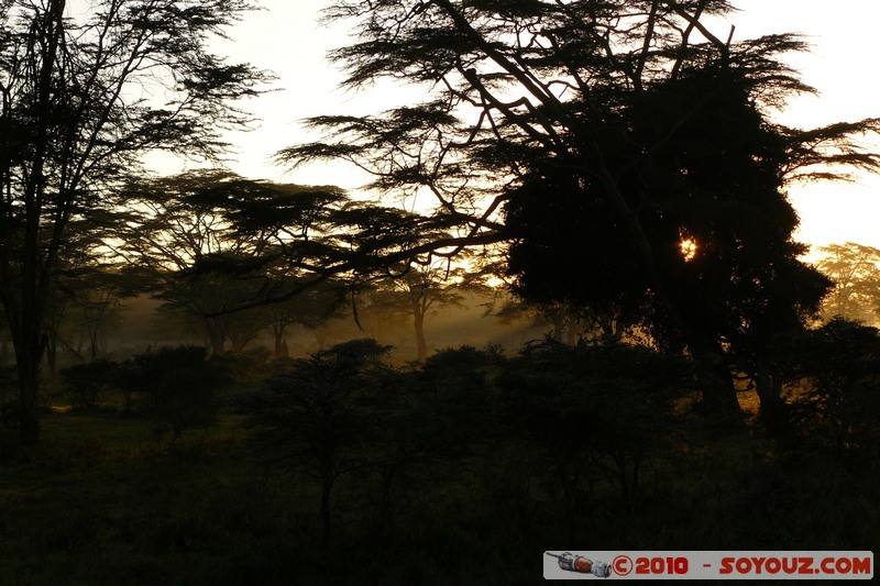 Lake Nakuru National Park - sunrise
Mots-clés: sunset
