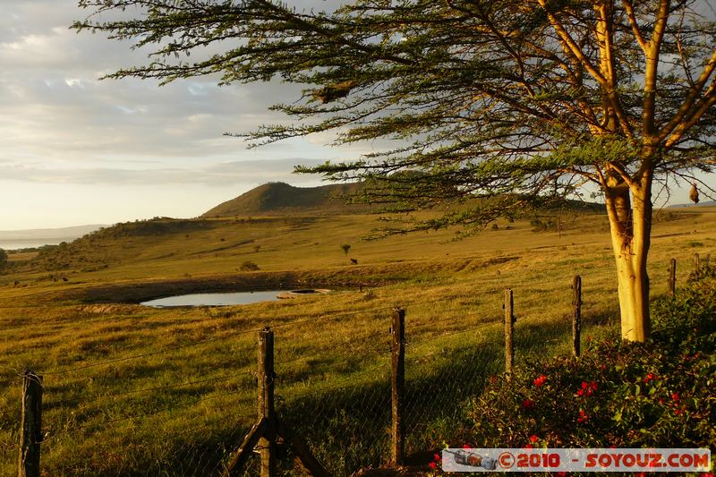 Lake Nakuru National Park - View from Lake Nakuru Lodge
Mots-clés: sunset