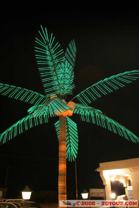 Electric Palm Tree
