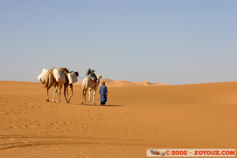 Long way home
Mots-clés: dromadaire camel desert