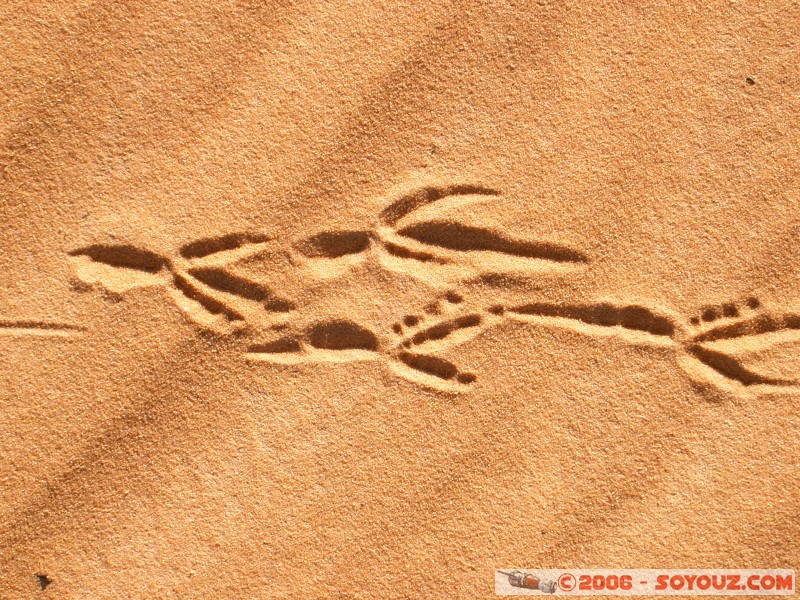 Traces
Mots-clés: desert dune sand sable