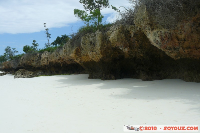 Zanzibar - Kendwa
Mots-clés: plage plante