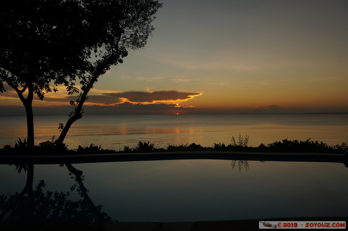 Zanzibar - Dimbani - Sunset
Mots-clés: Dimbani Tanzanie TZA Zanzibar Central/South Zanzibar Mer Piscine Karamba Resort sunset Lumiere Arbres