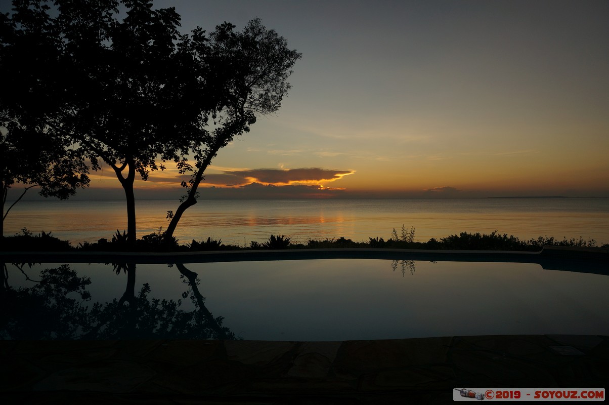 Zanzibar - Dimbani - Sunset
Mots-clés: Dimbani Tanzanie TZA Zanzibar Central/South Zanzibar Mer Piscine Karamba Resort sunset Lumiere Arbres