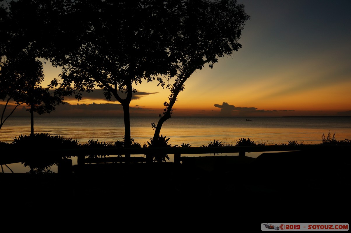 Zanzibar - Dimbani - Sunset
Mots-clés: Dimbani Tanzanie TZA Zanzibar Central/South Zanzibar Mer Piscine Karamba Resort sunset Arbres