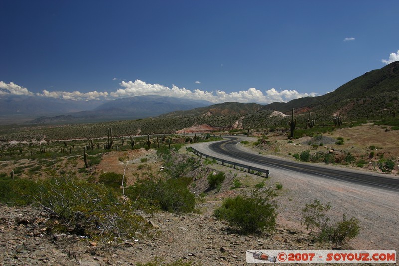Ruta 33 - Parque National Los Cardones
