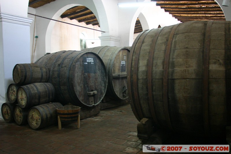 Cafayate - Museo de la Vid y el Vino
