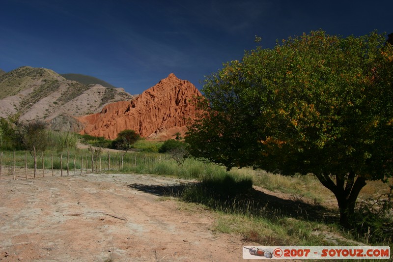 Purmamarca - Paseo de Los Colorados
rouge et vert
