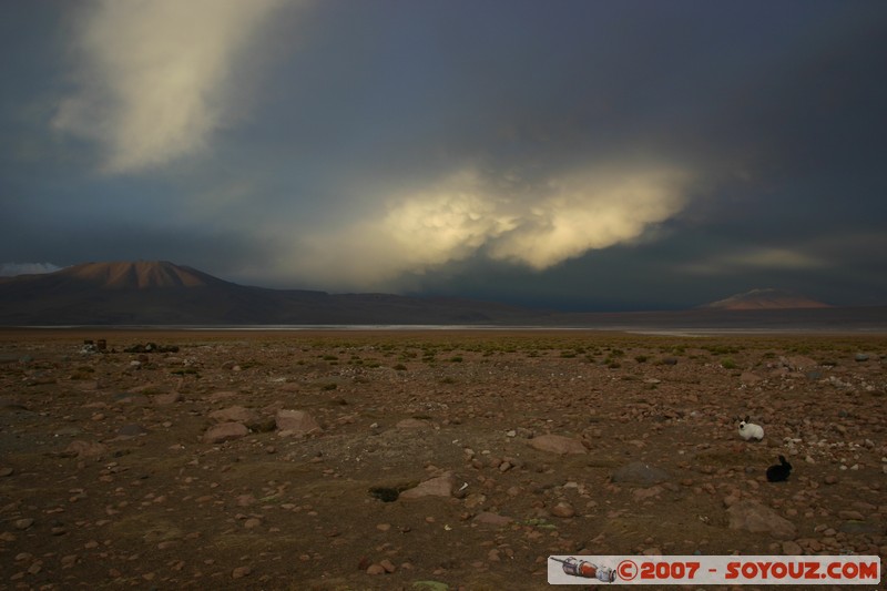 Jeux de lumière en direction du volcan Jorcada
Mots-clés: sunset