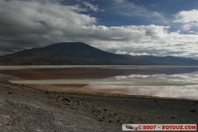Laguna Colorada et volcan Jorcada
