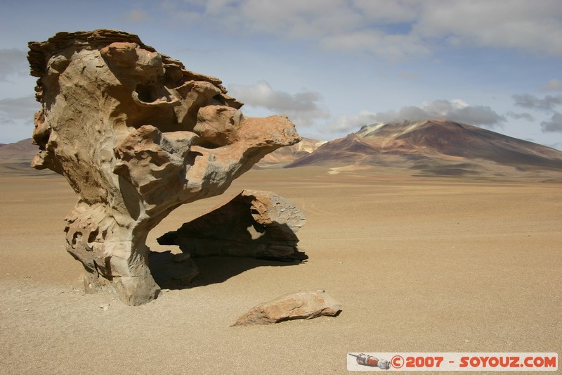 Desierto de Siloli - Arbol de Piedra
