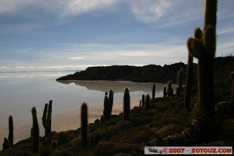 Isla Pescado (or Incahuasi) 
